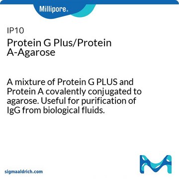 Protein G Plus/Protein A-Agarose A mixture of Protein G PLUS and Protein A covalently conjugated to agarose. Useful for purification of IgG from biological fluids.