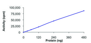 MEKK6, active, GST tagged human PRECISIO®, recombinant, expressed in baculovirus infected Sf9 cells, ≥70% (SDS-PAGE), buffered aqueous glycerol solution