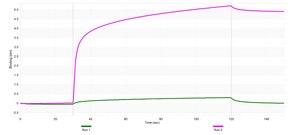 Anti-HSD17B13 Antibody, clone 2B3 ZooMAb® Rabbit Monoclonal recombinant, expressed in HEK 293 cells