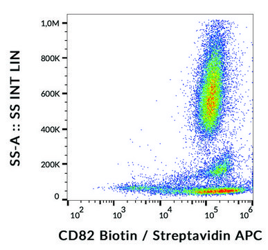 Monoclonal Anti-CD82 antibody produced in mouse clone C33