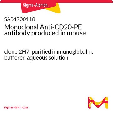 Monoclonal Anti-CD20-PE antibody produced in mouse clone 2H7, purified immunoglobulin, buffered aqueous solution