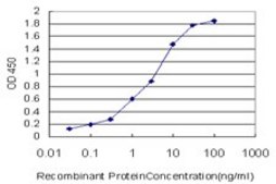 Monoclonal Anti-RAMP3 antibody produced in mouse clone 1C11, purified immunoglobulin, buffered aqueous solution