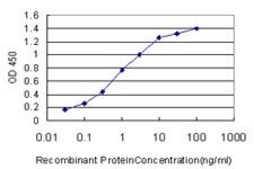 Monoclonal Anti-NVL antibody produced in mouse clone 3F6, purified immunoglobulin, buffered aqueous solution
