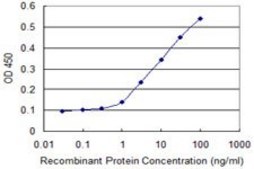Monoclonal Anti-NQO2 antibody produced in mouse clone 3E8-G2, purified immunoglobulin, buffered aqueous solution