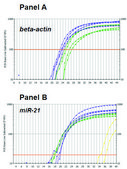 GenElute™ FFPE RNA Purification Kit