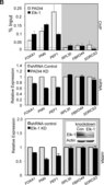 Anti-PADI4 (N-terminal) antibody produced in rabbit IgG fraction of antiserum, buffered aqueous solution