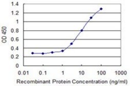 Monoclonal Anti-JAM2, (C-terminal) antibody produced in mouse clone 1C2, purified immunoglobulin, buffered aqueous solution