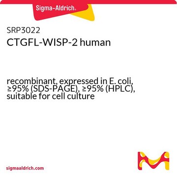 CTGFL-WISP-2 human recombinant, expressed in E. coli, &#8805;95% (SDS-PAGE), &#8805;95% (HPLC), suitable for cell culture