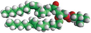 18:1 (Δ9-Trans) PC 1,2-dielaidoyl-sn-glycero-3-phosphocholine, chloroform