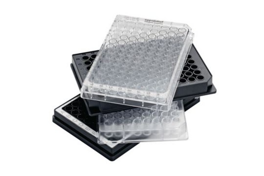 Eppendorf&#174; Microplate 96/F-PP sterile (PCR clean), flat bottom, clear wells, white border, pkg of 40&#160;plates (4 bags x 10 plates), VIS