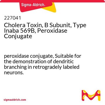 Cholera Toxin, B Subunit, Type Inaba 569B, Peroxidase Conjugate peroxidase conjugate, Suitable for the demonstration of dendritic branching in retrogradely labeled neurons.