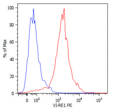 Monoclonal Anti-VIM-PE antibody produced in mouse clone VI-RE/1, purified immunoglobulin, buffered aqueous solution