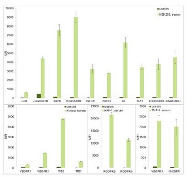 MILLIPLEX&#174; RTK Phosphoprotein Magnetic Bead Panel- Cell Signaling Multiplex Assay allows simultaneous relative quantitation of multiple proteins in tissue and cell lysate samples