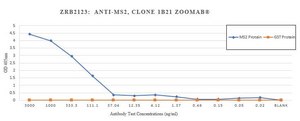 Anti-Bacteriophage MS2 Antibody, clone 1B21 ZooMAb® Rabbit Monoclonal recombinant, expressed in HEK 293 cells