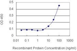 Monoclonal Anti-PLCB2 antibody produced in mouse clone 1B3, purified immunoglobulin, buffered aqueous solution