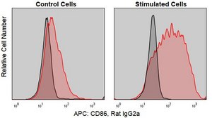 Anti-Mouse CD86/B7-2 (GL-1) ColorWheel® Dye-Ready mAb for use with ColorWheel® Dyes (Required, sold separately)