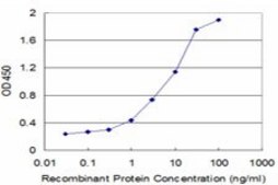 Monoclonal Anti-GCHFR antibody produced in mouse clone 4G6, purified immunoglobulin, buffered aqueous solution