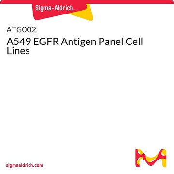 A549 EGFR Antigen Panel Cell Lines