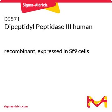 Dipeptidyl Peptidase III human recombinant, expressed in Sf9 cells