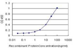 Monoclonal Anti-NHLH2 antibody produced in mouse clone 4E4, purified immunoglobulin, buffered aqueous solution