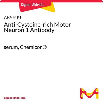 Anti-Cysteine-rich Motor Neuron 1 Antibody serum, Chemicon&#174;