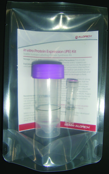 In Vitro Protein Expression (iPE) Kit II