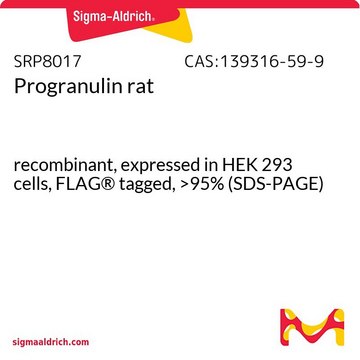 Progranulin rat recombinant, expressed in HEK 293 cells, FLAG&#174; tagged, &gt;95% (SDS-PAGE)