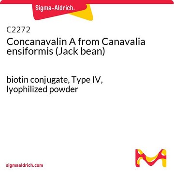 伴刀豆球蛋白A 来源于洋刀豆 （刀豆） biotin conjugate, Type IV, lyophilized powder