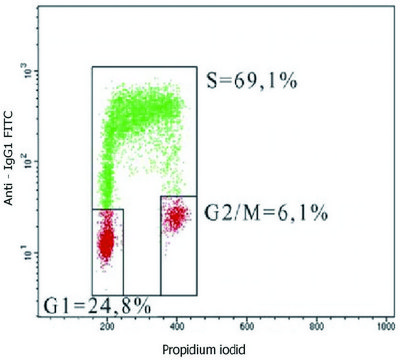 Monoclonal Anti-5-bromodeoxyuridine antibody produced in mouse clone MoBu-1, purified immunoglobulin, buffered aqueous solution