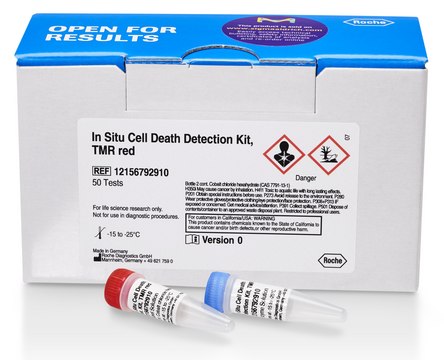 In Situ Cell Death Detection Kit, TMR red sufficient for &#8804;50&#160;tests