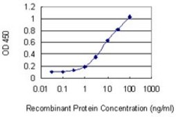 Monoclonal Anti-DHRS2, (C-terminal) antibody produced in mouse clone 1F10, purified immunoglobulin, buffered aqueous solution