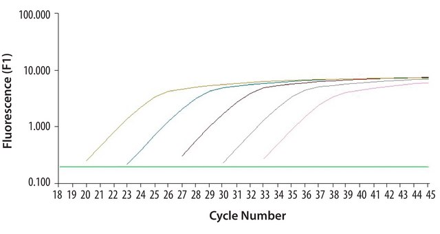 SYBR&#174; Green JumpStart&#8482; Taq ReadyMix&#8482; 用于定量PCR，毛细管配制 SYBR&#174; Green qPCR reagent for Roche LightCycler&#174; capillary systems