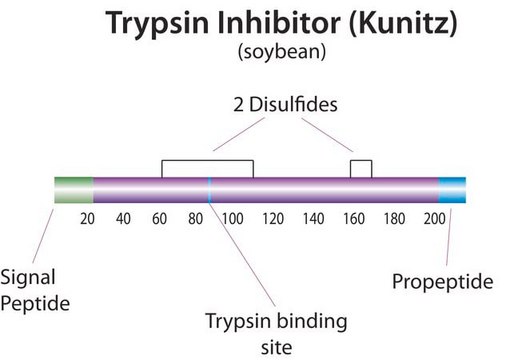 Trypsin Inhibitor, Soybean, High Activity Trypsin Inhibitor, Soybean, High Activity, CAS 9035-81-8 is of the several protease inhibitors in soybeans. Inhibits trypsin in 1:1 stoichiometry.