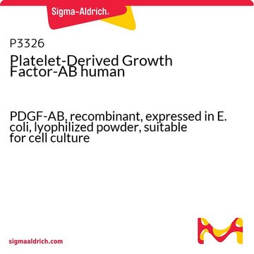 Platelet-Derived Growth Factor-AB 人 PDGF-AB, recombinant, expressed in E. coli, lyophilized powder, suitable for cell culture