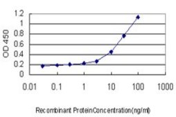 ANTI-MEF2A antibody produced in mouse clone 1C4, purified immunoglobulin, buffered aqueous solution
