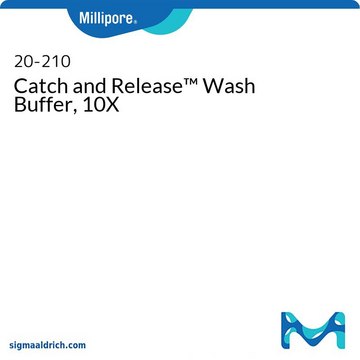 Catch and Release Wash Buffer, 10X