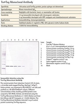 Trx&#8226;Tag Monoclonal Antibody Novagen&#174;