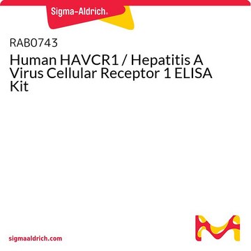 Human HAVCR1 / Hepatitis A Virus Cellular Receptor 1 ELISA Kit