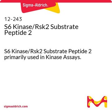 S6 Kinase/Rsk2 Substrate Peptide 2 S6 Kinase/Rsk2 Substrate Peptide 2 primarily used in Kinase Assays.