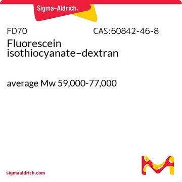 Fluorescein isothiocyanate–dextran average Mw 59,000-77,000