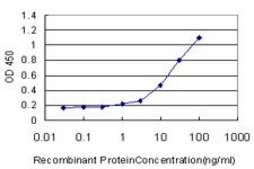 Monoclonal Anti-ATG3 antibody produced in mouse clone 1F7, purified immunoglobulin, buffered aqueous solution