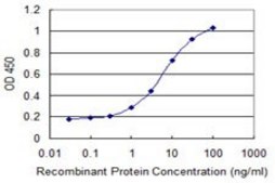 Monoclonal Anti-ISCA1 antibody produced in mouse clone 1A11, purified immunoglobulin, buffered aqueous solution