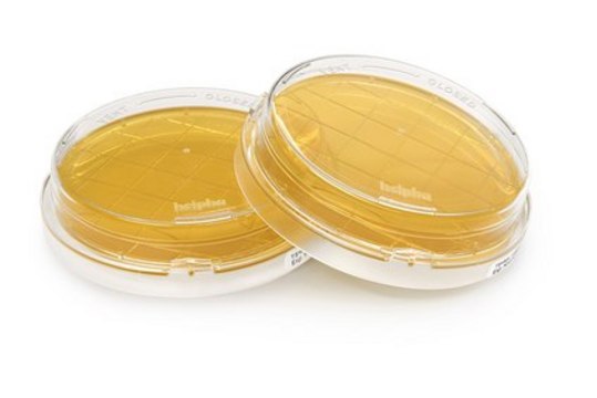 Tryptic Soy Agar - Ready-to-use Contact Plates Neutralizer A, ICR plus with lockable lid, plate diam. 55&#160;mm, sterile; &#947;-irradiated, pkg of 10&#160;plates Triple packed, suitable for surface monitoring