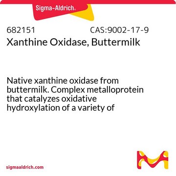 Xanthine Oxidase, Buttermilk Native xanthine oxidase from buttermilk. Complex metalloprotein that catalyzes oxidative hydroxylation of a variety of aromatic heterocycles and simple aldehydes. Catalyzes the oxidation of xanthine to uric acid.