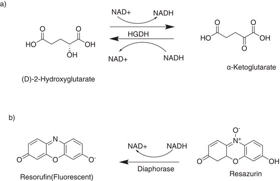 D-2-羟基戊二酸(D2HG)检测试剂盒 sufficient for 200 fluorometric reactions