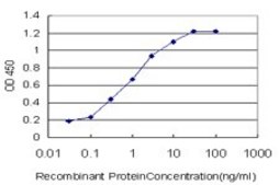 ANTI-CACNB2 antibody produced in mouse clone 6H6, purified immunoglobulin, buffered aqueous solution