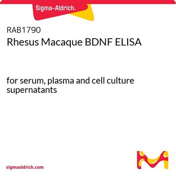 恒河猴BDNF ELISA for serum, plasma and cell culture supernatants