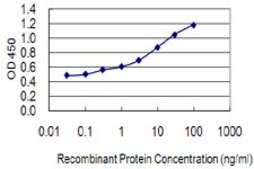 Monoclonal Anti-LSM4 antibody produced in mouse clone 8A10, purified immunoglobulin