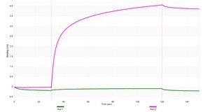 Anti-ICOS/CD278 Antibody, clone 1D20 ZooMAb® Rabbit Monoclonal recombinant, expressed in HEK 293 cells