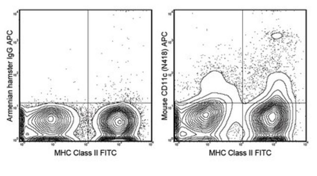 Anti-CD11c Antibody (mouse), APC, clone N418 clone N418, 0.2&#160;mg/mL, from hamster(Armenian)